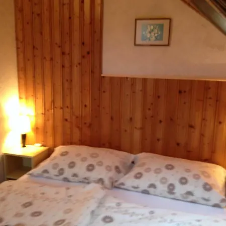 Bed & Breakfast Pension Family Fabsits